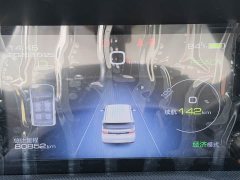 Wuling Hongguang MINIEV Deluxe Edition LFP Battery - фото 17