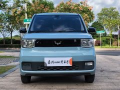 Wuling Hongguang MINIEV Deluxe Edition LFP Battery - фото 2