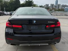 BMW 5 Series 530Li Luxury M Sport Package - фото 9