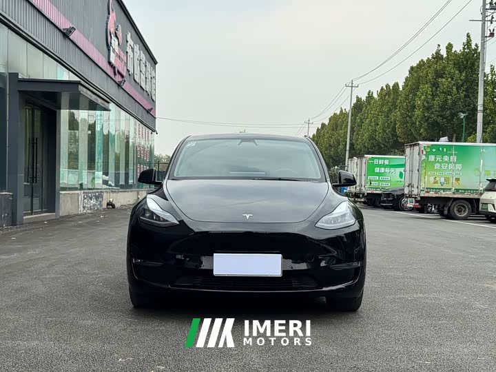 Tesla Model Y Long Range All-Wheel Drive 3D7 - car from China