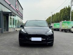 Tesla Model Y Long Range All-Wheel Drive 3D7 - photo 1
