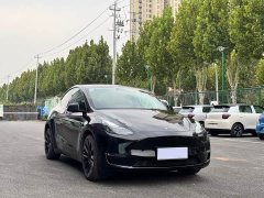 Tesla Model Y Long Range All-Wheel Drive 3D7 - photo 2