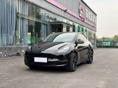Tesla Model Y Long Range All-Wheel Drive 3D7 - photo 3