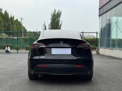 Tesla Model Y Long Range All-Wheel Drive 3D7 - photo 4