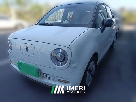 2021 ORA Black Cat 301km Cute Pet Edition - ავტომობილი ჩინეთიდან