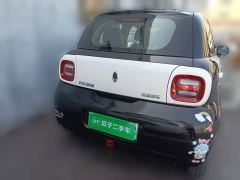 ORA Black Cat 301km Cute Pet Edition - ფოტო 3