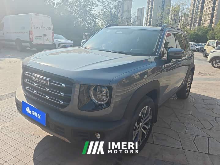 Great Wall Dachshund 1.5T DCT Two-Wheel Drive Border Collie-Wangcai Edition
