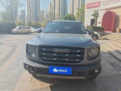 Great Wall Dachshund 1.5T DCT Two-Wheel Drive Border Collie-Wangcai Edition - photo 2