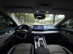 Geely Xingrui 2.0T Diesel Premium Edition - ფოტო 7