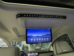 Buick GL8 New Energy Luzun Respect Edition 7-Seater - photo 11