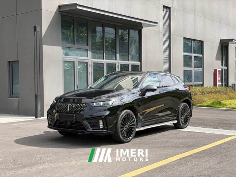 2021 Great Wall WEY VV7 New Energy PHEV 2.0T Flagship - ავტომობილი ჩინეთიდან