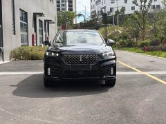 Great Wall WEY VV7 New Energy PHEV 2.0T Flagship - ფოტო 2