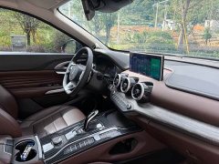 Great Wall WEY VV7 New Energy PHEV 2.0T Flagship - ფოტო 9