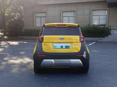 Chery Ant 150,000 Ant Fan Edition Cool Version LFP Battery - ფოტო 6
