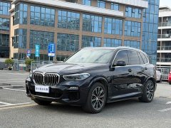 BMW X5 (Imported) xDrive40i M Sport Package - фото 1