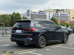 BMW X5 (Imported) xDrive40i M Sport Package - фото 9