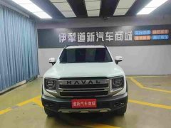 Great Wall Dachshund 1.5T DCT Labrador Edition - photo 1