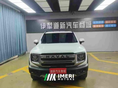 2024 Great Wall Dachshund 1.5T DCT Labrador Edition - ავტომობილი ჩინეთიდან