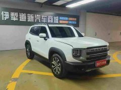 Great Wall Dachshund 1.5T DCT Labrador Edition - photo 2