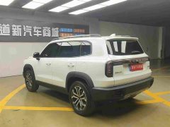 Great Wall Dachshund 1.5T DCT Labrador Edition - photo 9