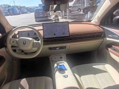 ORA Good Cat 430km Deluxe Edition - ფოტო 5