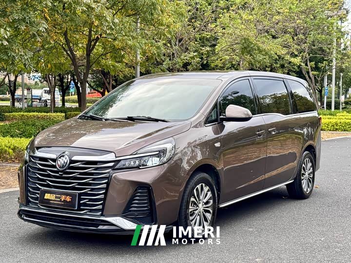Buick GL8 Land Business Class Comfort Edition - автомобиль из Китая