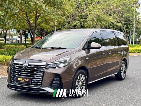 2023 Buick GL8 Land Business Class Comfort Edition - автомобиль из Китая