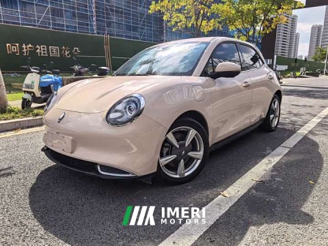 2024 ORA Good Cat 401km Standard Range Deluxe Edition LFP Battery - ავტომობილი ჩინეთიდან