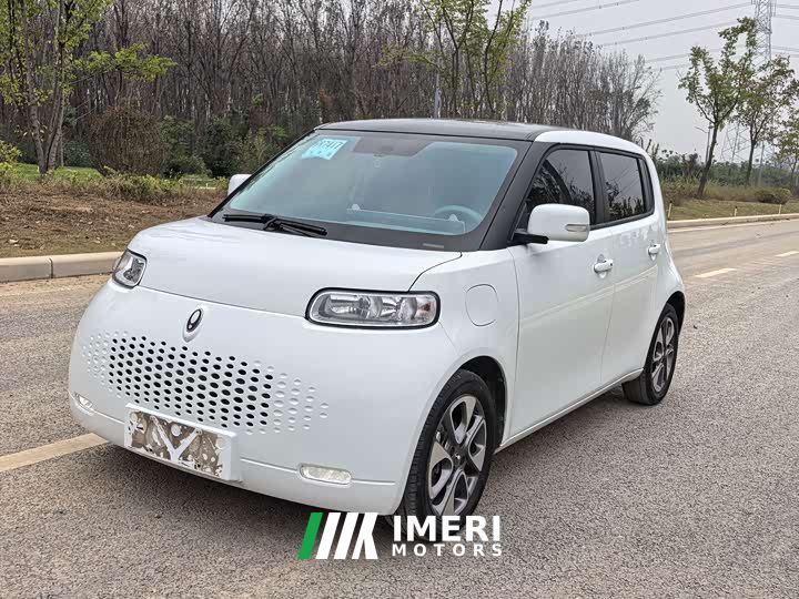 Ora White Cat Upgraded Edition 305km Luxury Edition Lithium iron phosphate