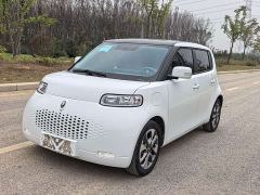 Ora White Cat Upgraded Edition 305km Luxury Edition Lithium iron phosphate - photo 1