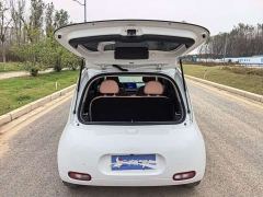 Ora White Cat Upgraded Edition 305km Luxury Edition Lithium iron phosphate - photo 13