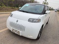 Ora White Cat Upgraded Edition 305km Luxury Edition Lithium iron phosphate - photo 18