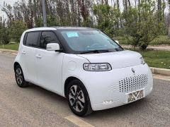 Ora White Cat Upgraded Edition 305km Luxury Edition Lithium iron phosphate - photo 2