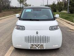 Ora White Cat Upgraded Edition 305km Luxury Edition Lithium iron phosphate - photo 3