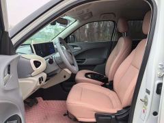Ora White Cat Upgraded Edition 305km Luxury Edition Lithium iron phosphate - photo 6