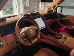 Yangwang U8 Luxury Edition - ფოტო 10