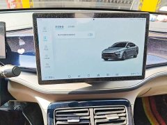 BYD Qin Plus Champion Edition DM-i 120KM Exceed - ფოტო 20