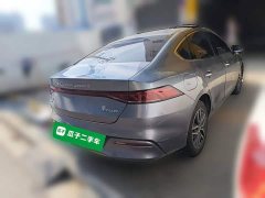 BYD Qin Plus Champion Edition DM-i 120KM Exceed - ფოტო 4