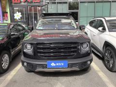 Great Wall Dachshund 1.5T DCT Two-Wheel Drive Border Collie Edition - ფოტო 2