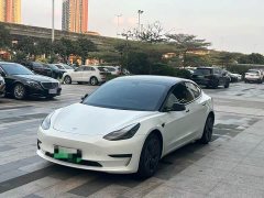Tesla Model 3 Rear-Wheel Drive - ფოტო 1