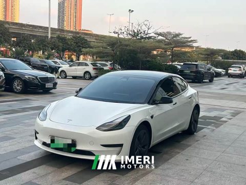 2022 Tesla Model 3 Rear-Wheel Drive - ავტომობილი ჩინეთიდან
