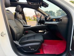 Geely Xingrui 1.5TD Kunlun Edition - ფოტო 15