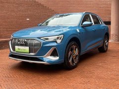 Audi e-tron 2021 50 quattro Premium - фото 1