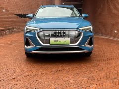 Audi e-tron 2021 50 quattro Premium - фото 2