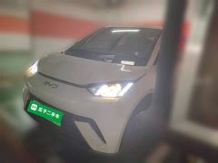BYD Seagull 305km Vitality Edition - ფოტო 1