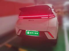 BYD Seagull 305km Vitality Edition - ფოტო 3