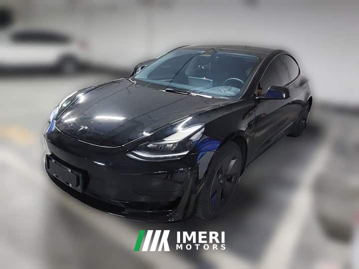 Tesla Model 3 Standard Range RWD Upgrade 3D6