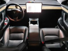 Tesla Model 3 Standard Range RWD Upgrade 3D6 - ფოტო 13