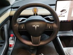 Tesla Model 3 Standard Range RWD Upgrade 3D6 - ფოტო 14
