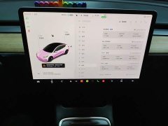 Tesla Model 3 Standard Range RWD Upgrade 3D6 - ფოტო 15